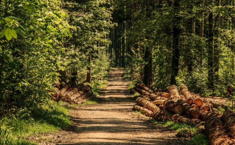 Rozpoczęcie prac nad projektem budżetu ZO PZŁ w Bydgoszczy na 2022 r